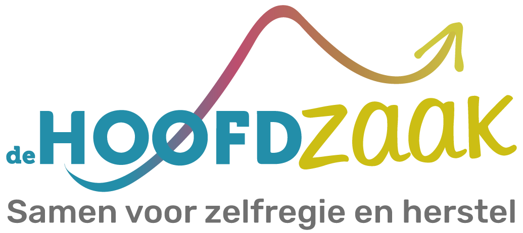 De Hoofdzaak is samenwerkingspartner van Walk into the Light