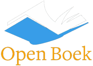 Stichting Open Boek Nijmegen is samenwerkingspartner van Walk into the Light